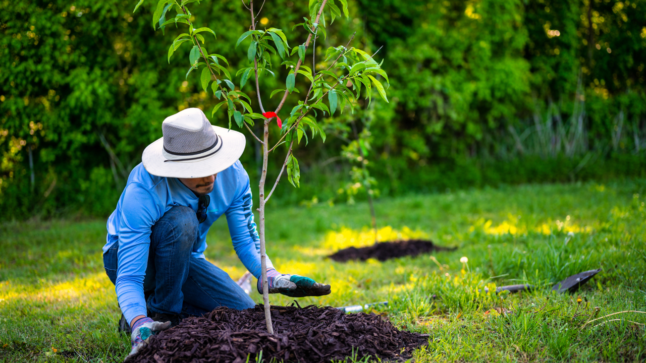 Landscaping SEO services for home service companies